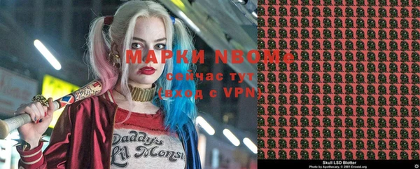 бошки Алексин