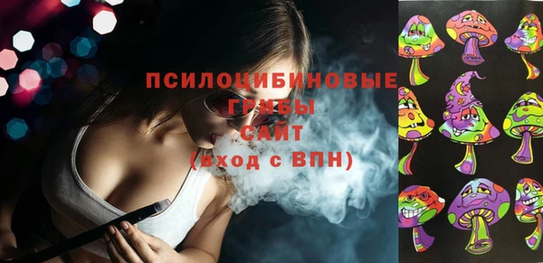 бошки Алексин