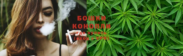 бошки Алексин