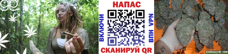Бошки Шишки сатива  мега tor  Аргун 